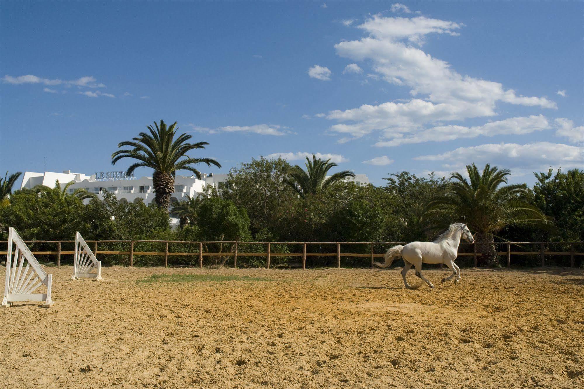 Le Sultan Hotel Hammamet Exterior photo